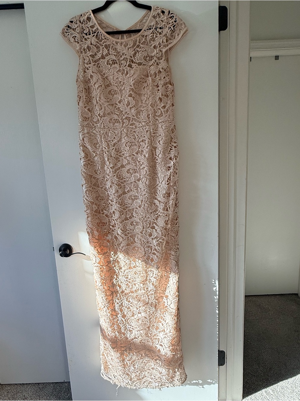 Adrianna Papell Blush Lace Cap-Sleeve Maxi Dress
